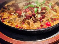 -老板恋上鱼(高新万达店)