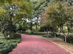 -杭州城北体育公园