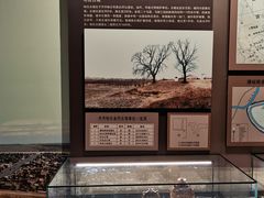 -齐齐哈尔市博物馆