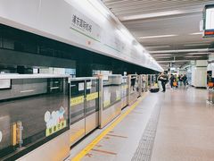 -浦东1号2号航站楼(地铁站)