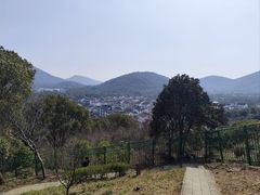 -香雪海