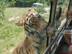 -西安秦岭野生动物园