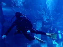 -太平洋海底世界