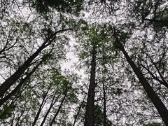 -汉水公园