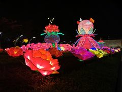 -映月湖公园