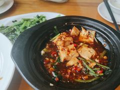 -红果树(江光店)