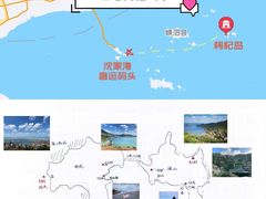 -枸杞岛