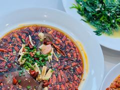 -院8里·少城记忆老川菜(宽窄巷子店)