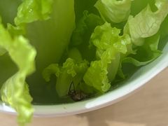 -潮正和潮汕牛肉火锅·老字号(番禺万达店)
