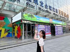-红星美凯龙北京至尊MALL(东四环中路店)