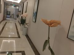 -华夏良子·足道SPA艾灸(开源店)