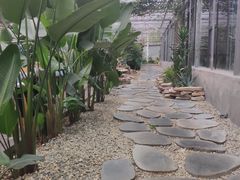 -桉树林A coffee 森林餐厅(三圣乡店)