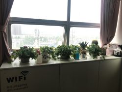 -苏薇摄影·照相馆