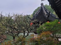 -上海醉白池公园