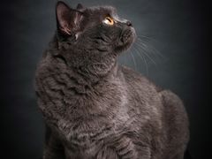 -方快-照相馆(中原大润发店)