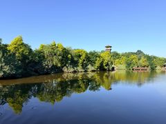 -张坝桂圆林公园