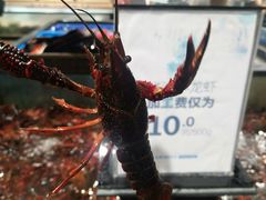 小龙虾-盒马鲜生(皇庭广场店)
