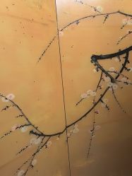 -太乙康·中式美养空间