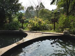 -龙山酒店温泉