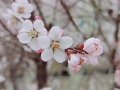 -北京奥林匹克公园