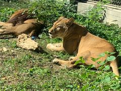 -石家庄市动物园