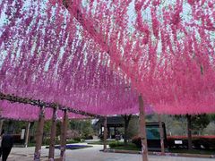 -狼山风景名胜区