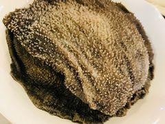 新鲜牛百叶-鲜入围煮花胶鸡海鲜火锅