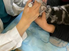 -芭比堂动物医院·犬猫全科·异宠专科(雁塔分院)