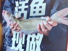 -老板恋上鱼(恒隆广场店)