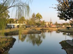 -美宁肥牛(旗舰店)