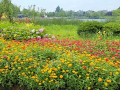 -杭州湾海上花田景区