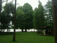 -南宁良凤江国家森林公园