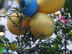 -五合院·整点烤肉