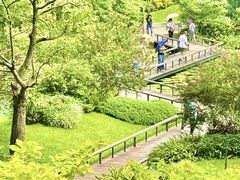 -云溪植物园