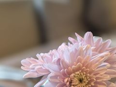 -厨艺海鲜自助餐厅•越秀宾馆希尔顿格芮精选酒店