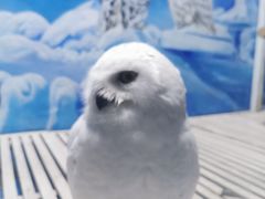 -成都浩海立方海洋公园