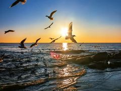 -老虎石海上公园