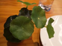 -莲餐厅·湖北菜·藕汤老手艺(愚园路店)