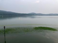 -水上明月·湖景餐厅