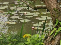 -杭州植物园