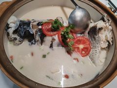 -全乐鱼馆·淳牌有机鱼直营店