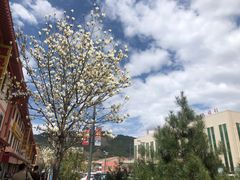 -青峰峡国家森林公园