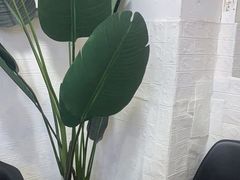 -红像馆连锁精致证件照职场照(中关村店)