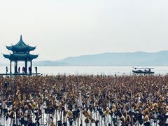 -西湖天地