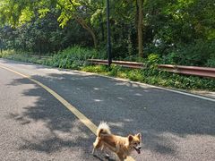 -宝界山林公园