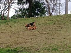 -梧桐山风景名胜区