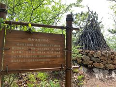 -棒棰岛宾馆景区