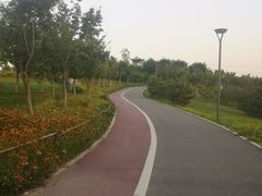 -马家湾湿地公园