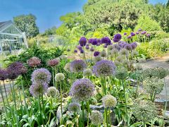 -国家植物园南园