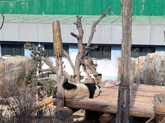 -青藏高原野生动物园